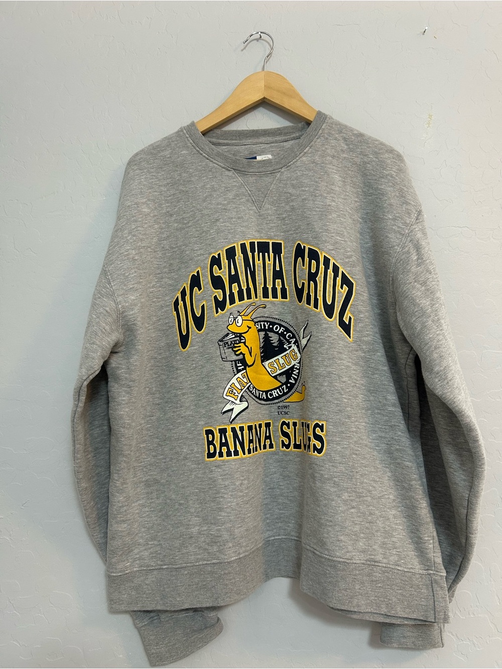 UC Santa Cruz Gray 'Banana Slugs' Crewneck Sweatshirt
